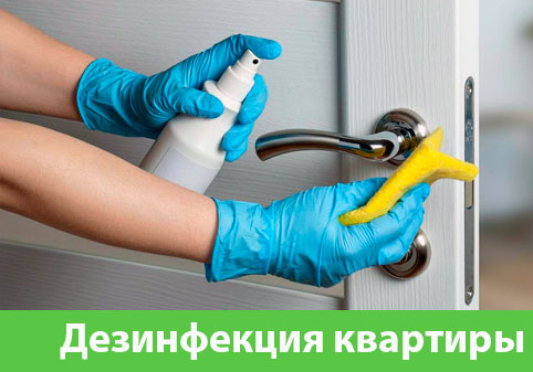 Дезинфекция квартиры в городе Давлеканово