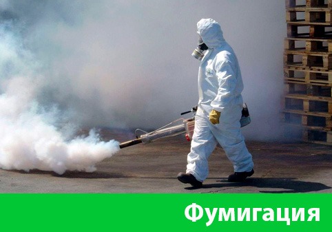 Фумигация в городе Давлеканово