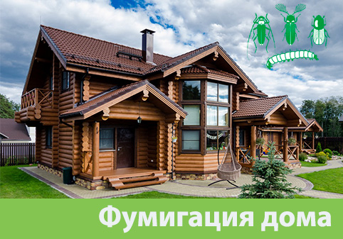 Преимущества обработки газом в городе Давлеканово
