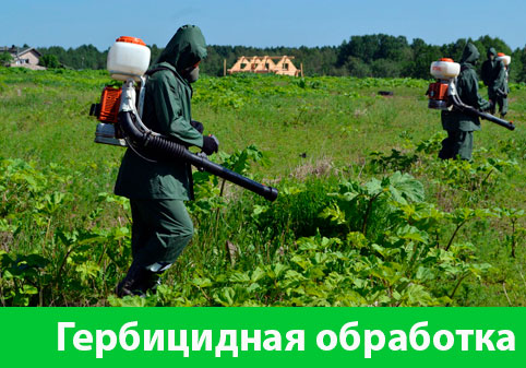 Гербицидная обработка в городе Давлеканово