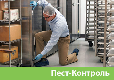 Пэст-Контроль в городе Давлеканово