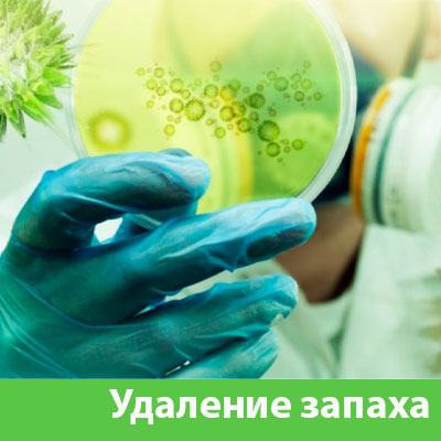 Удаление запахов в Давлеканово