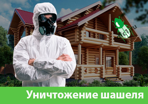 Уничтожение шашеля и личинок в Давлеканово