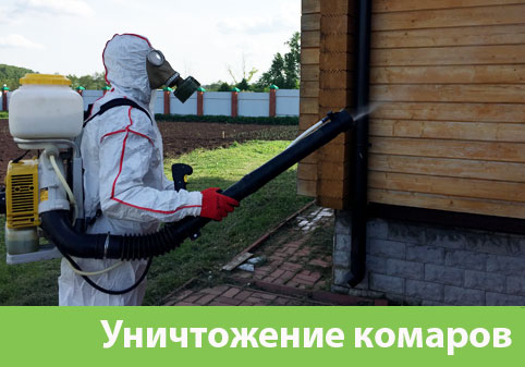 Уничтожение комаров в городе Давлеканово