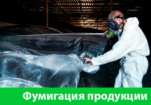 Фумигация продукции в городе Давлеканово